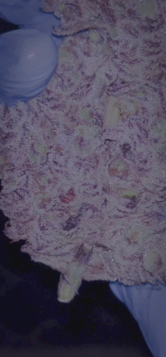 White Out(Blizzard Of Oz x White Fire OG)(15 Feminized Seeds)(FULL PACK)